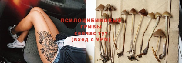 прущая мука Дмитровск