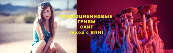 прущая мука Дмитровск