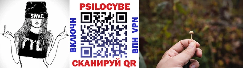 купить наркотик  Дмитровск  Галлюциногенные грибы MAGIC MUSHROOMS 
