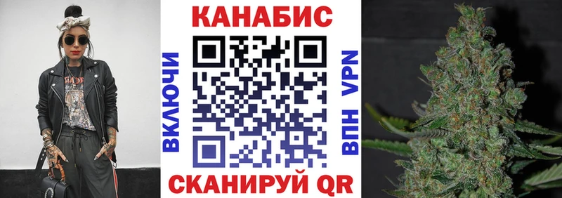 Каннабис план  Дмитровск 